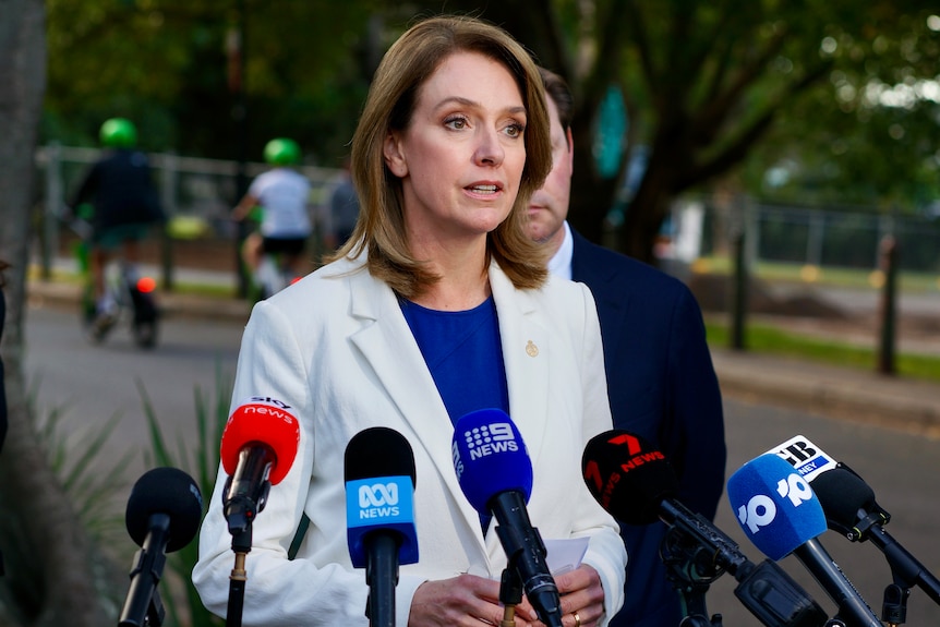 NSW Opposition leader Kellie Sloane