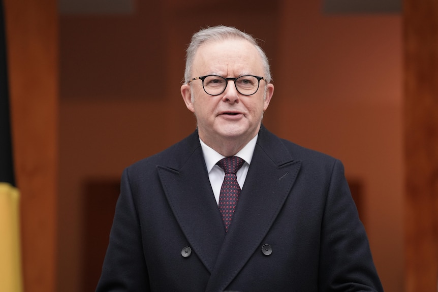Anthony Albanese, in a dark coat, speaks outside the doors to Parliament.
