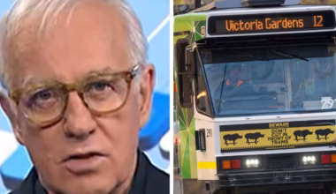 Debate erupts after finance guru labels Melbourne trams a ‘disastrous mistake’