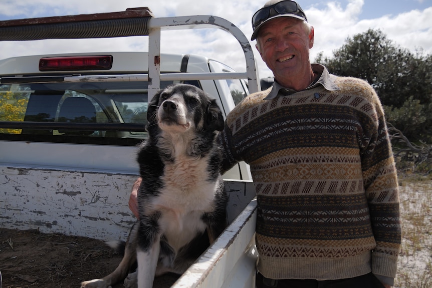 A border collie sits on a ute tray. An older man stands by with his hand on the dog.