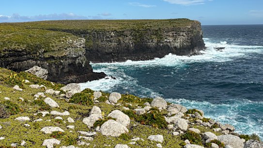 The cliffs of Enderby Island.