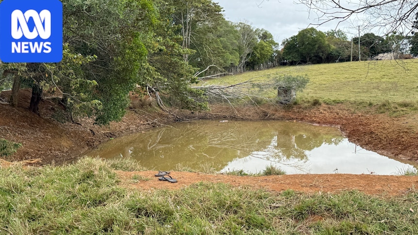 Woman and child found dead in car in dam in Queensland's Fraser Coast