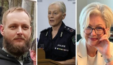 Helen Haines attack: SA MPs face security threats briefing