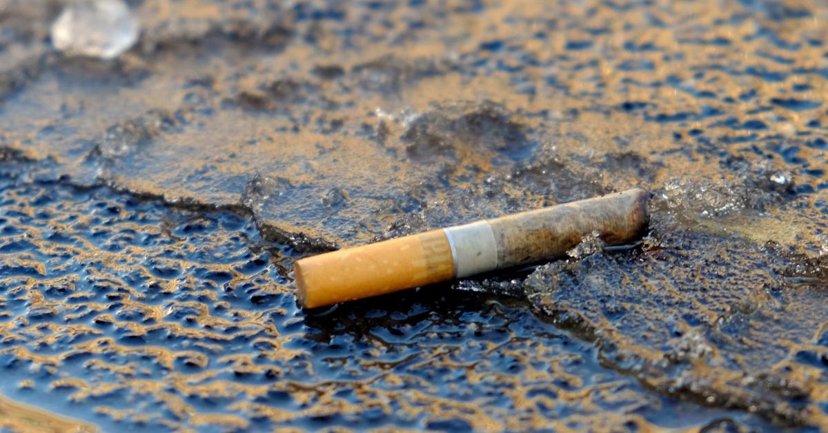 44 ans après le meurtre d’une adolescente, son assassin est identifié grâce à l’ADN retrouvé... sur un mégot de cigarette