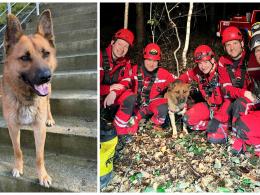 Le malinois de 2 ans a pu être sauvé par les pompiers.