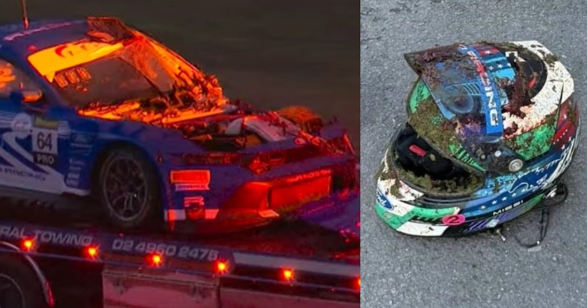 La grosse frayeur de Chris Mies après sa rencontre à 250km/h avec un kangourou aux 12H de Bathurst : "Heureux d'être toujours sur mes jambes"