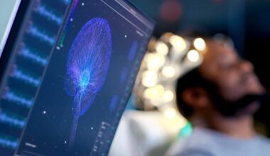 Quand voir et toucher parlent le même langage dans le cerveau
