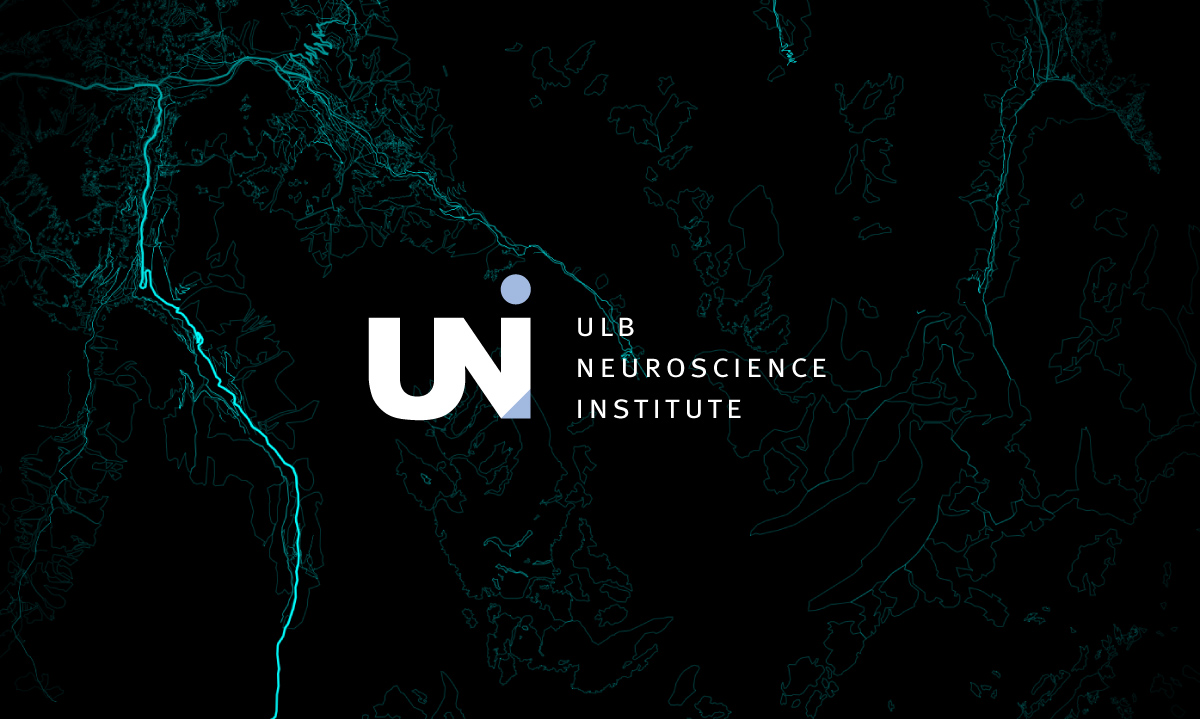 Une étude de l'ULB éclaire l'impact de l'âge sur le maintien de l'équilibre