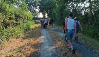 Sur la marche gourmande en Gâtine, des lumas bien cachés mais une Luma à l’arrivée
