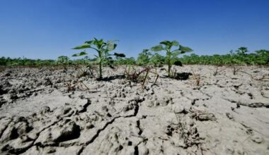 Jour du dépassement 2024 : la Terre a épuisé ses ressources