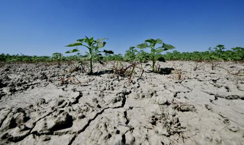 Jour du dépassement 2024 : la Terre a épuisé ses ressources