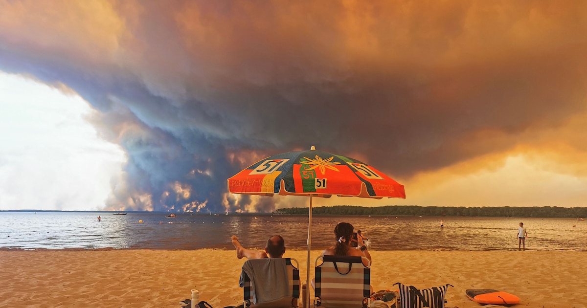Incendie en Gironde, deux innocents vacanciers cloués au pilori par les réseaux sociaux : au bûcher, les Bidochon ?