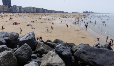 La "bactérie mangeuse de chair" prolifère avec le réchauffement climatique: "On peut s'attendre à en voir sur nos côtes"