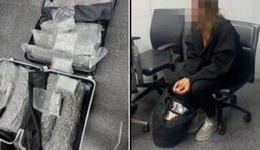 Une Belge arrêtée à l'aéroport de Phuket en possession de 31 kg de cannabis: elle rejoint 505 autres Belges incarcérés à l'étranger, un record