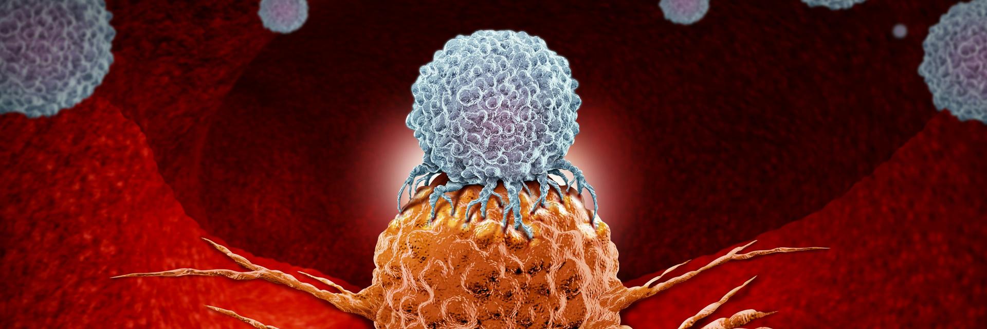 Cancer de la prostate : cette nouvelle génération de médicaments avance « masquée » et suscite l'espoir