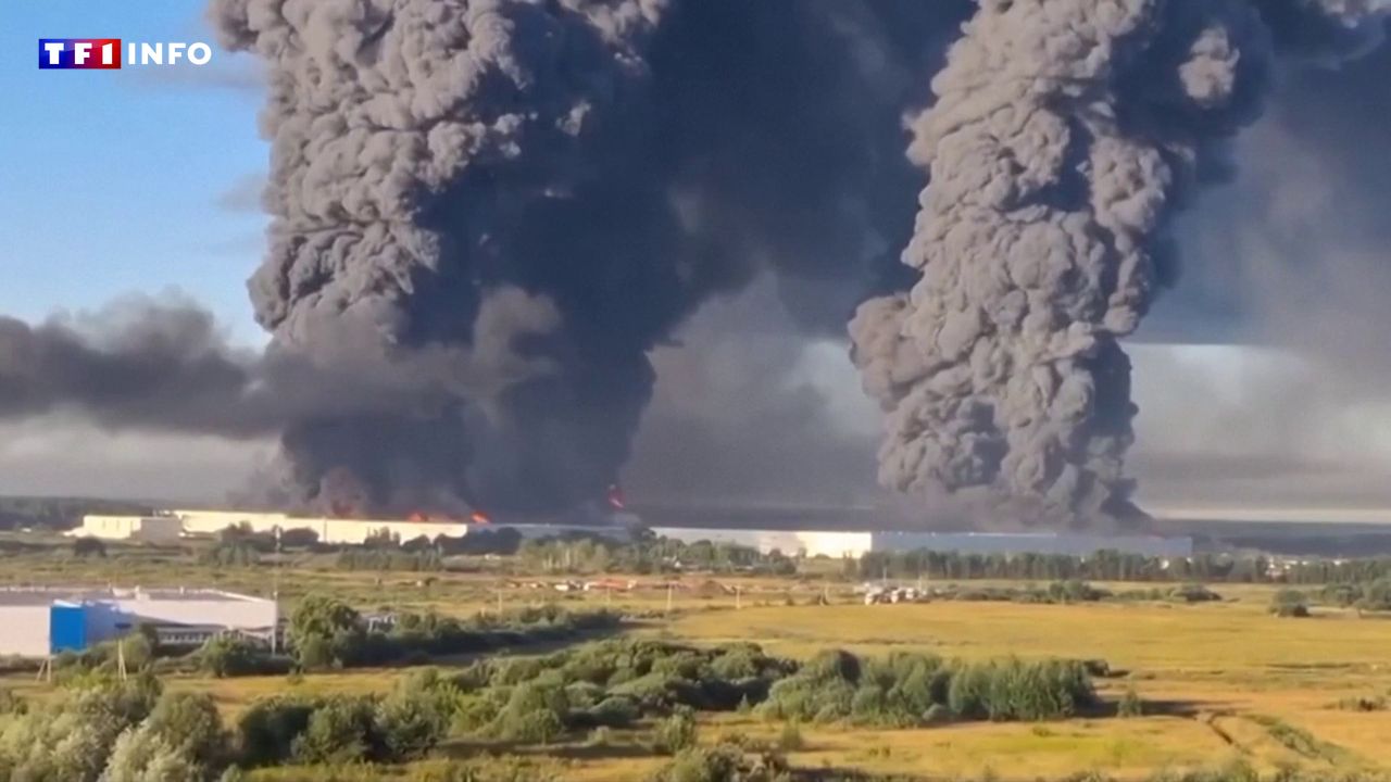 Guerre en Ukraine : pourquoi Kiev vise le géant russe du e-commerce Wildberries