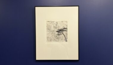 Avignon : derniers jours pour profiter des "Paysages de Corée" de Michael Kenna