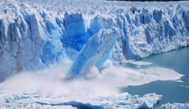 Climat, pollution, ressources : 50 ans après, le modèle du MIT reste étonnamment actuel