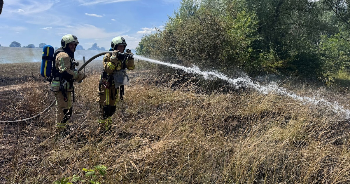 Un important feu de prairie contenu à 30 mètres d'habitations près de Genk
