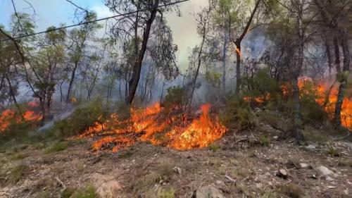 Incendie dans le Var : on le pensait maîtrisé, il a repris
