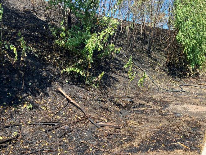 Deux hectares ont été brûlés à Herstal