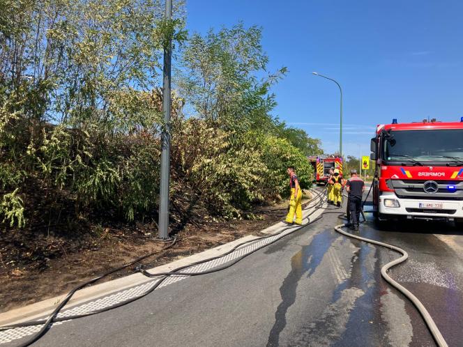 Les pompiers ont maîtrisé le feu à Herstal