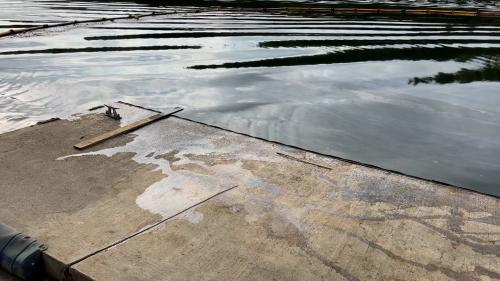 Pollution de la Meuse à Wanze : fuite de goudron sur deux kilomètres