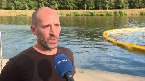 La pollution au goudron dans la Meuse a déjà des conséquences très concrètes : « C’est un désagrément important »