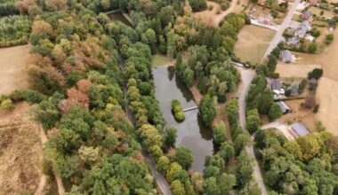 La sécheresse en Ardenne impacte mettent les rivières à sec et les forêts en détresse