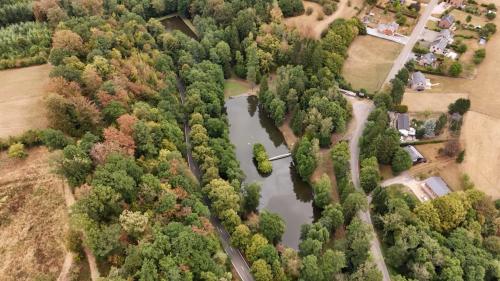 La sécheresse en Ardenne impacte mettent les rivières à sec et les forêts en détresse