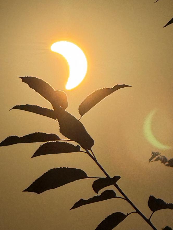 « La fée qui ne voulait pas lâcher le soleil », photo prise par Tatjana Petrovska.
