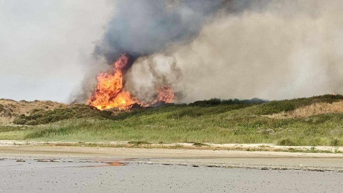 « Merci d’évacuer » : les clichés de l’incendie spectaculaire dans les dunes du Pas-de-Calais (photos et vidéo)