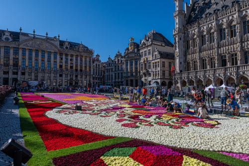 Grand-Place de Bruxelles : tapis de fleurs japonais et nouveauté 2024