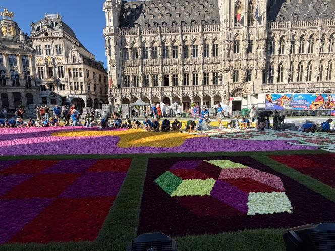 Le tapis de fleurs prend forme.