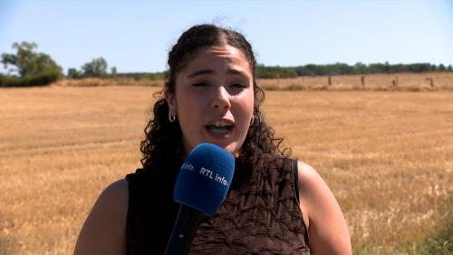 Sécheresse en Wallonie : Libramont limite l’usage de l’eau