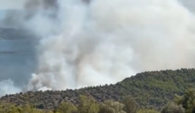 « Deux corps ont été découverts » : les îles grecques défigurées par des feux de forêt qui font deux morts, les habitants et touristes évacués