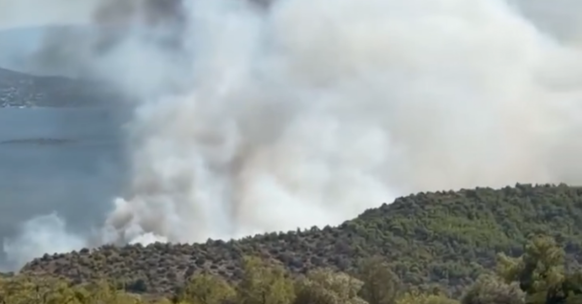 « Deux corps ont été découverts » : les îles grecques défigurées par des feux de forêt qui font deux morts, les habitants et touristes évacués