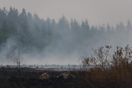 Incendie dans les Fagnes : drones et secours mobilisés à Baelen