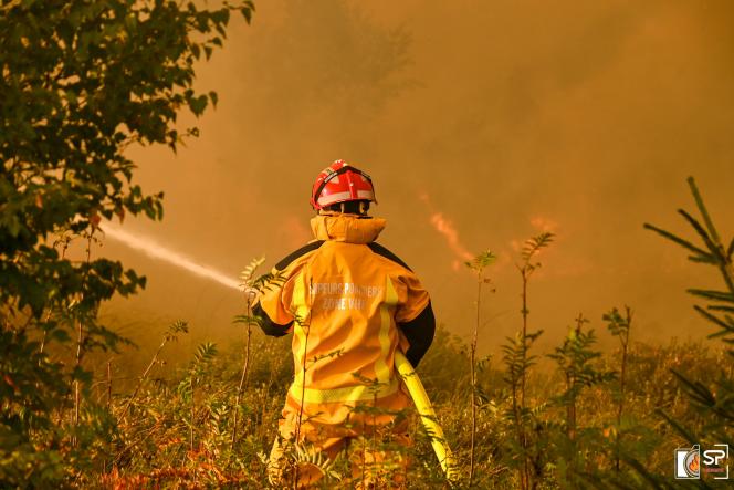 Un pompier tente d’éteindre un incendie de forêt dans la réserve naturelle des Hautes Fagnes, le 17 août 2026.