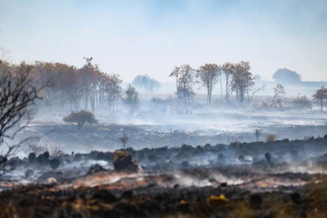 Paysage brûlé près du Signal de Botrange, le mardi 18 août.