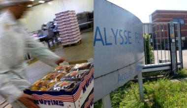 Alysse Food à Seneffe cesse ses activités, pour les 108 travailleurs restants, c’est le coup de massue : « On savait que ça allait mal mais on espérait toujours la piste d’un repreneur »