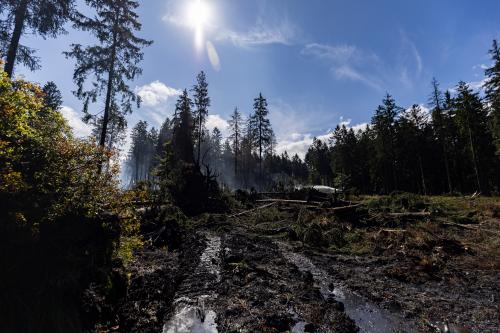 Incendie des Hautes Fagnes : la Belgique mobilise les secours