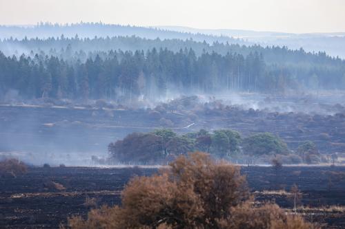 Incendie dans les Hautes Fagnes : 60 000 € pour restaurer les tourbières