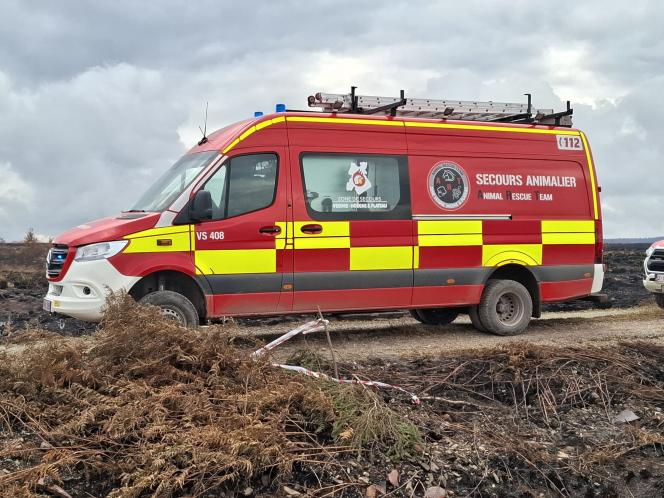 Véhicule d’intervention de l’Animal Rescue Team de la Zone de secours Vesdre-Hoëgne & Plateau