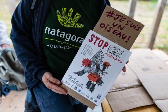 Dans les marais d’Harchies, une zone naturelle protégée belge, des organisations de protection des oiseaux dénoncent l’ouverture de la saison de chasse, autorisée depuis des décennies à quelques kilomètres de là, côté français. « Les oiseaux n’ont pas de frontières », proclament plusieurs pancartes brandies par un cortège d’environ 700 personnes parti au crépuscule le 21 août 2026 à Bernissart, à l’appel de neuf organisations.