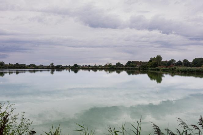 Dans les marais d’Harchies, une zone naturelle protégée belge, des organisations de protection des oiseaux dénoncent l’ouverture de la saison de chasse, autorisée depuis des décennies à quelques kilomètres de là, côté français. « Les oiseaux n’ont pas de frontières », proclament plusieurs pancartes brandies par un cortège d’environ 700 personnes parti au crépuscule le 21 août 2026 à Bernissart, à l’appel de neuf organisations.