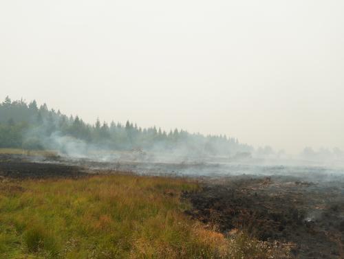 Reprise de feu dans les Hautes Fagnes : la RN68 fermée à Baelen