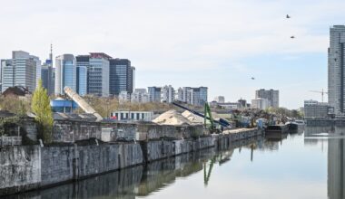 Teinte verdâtre, poissons morts... Pourquoi le canal de Bruxelles se retrouve en piteux état depuis une semaine