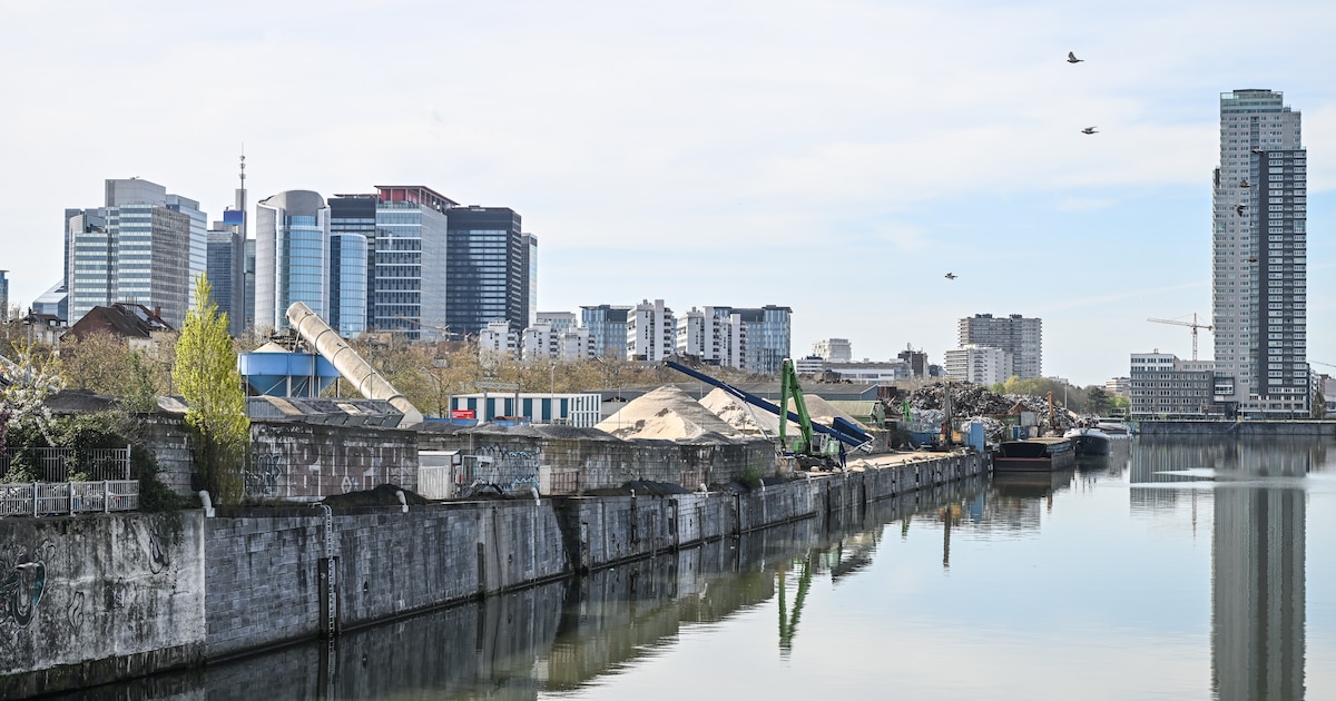 Teinte verdâtre, poissons morts... Pourquoi le canal de Bruxelles se retrouve en piteux état depuis une semaine
