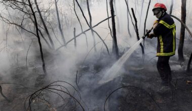 Nouvel incendie en France: 400 hectares parcourus par les flammes dans les Landes, 400 personnes évacuées